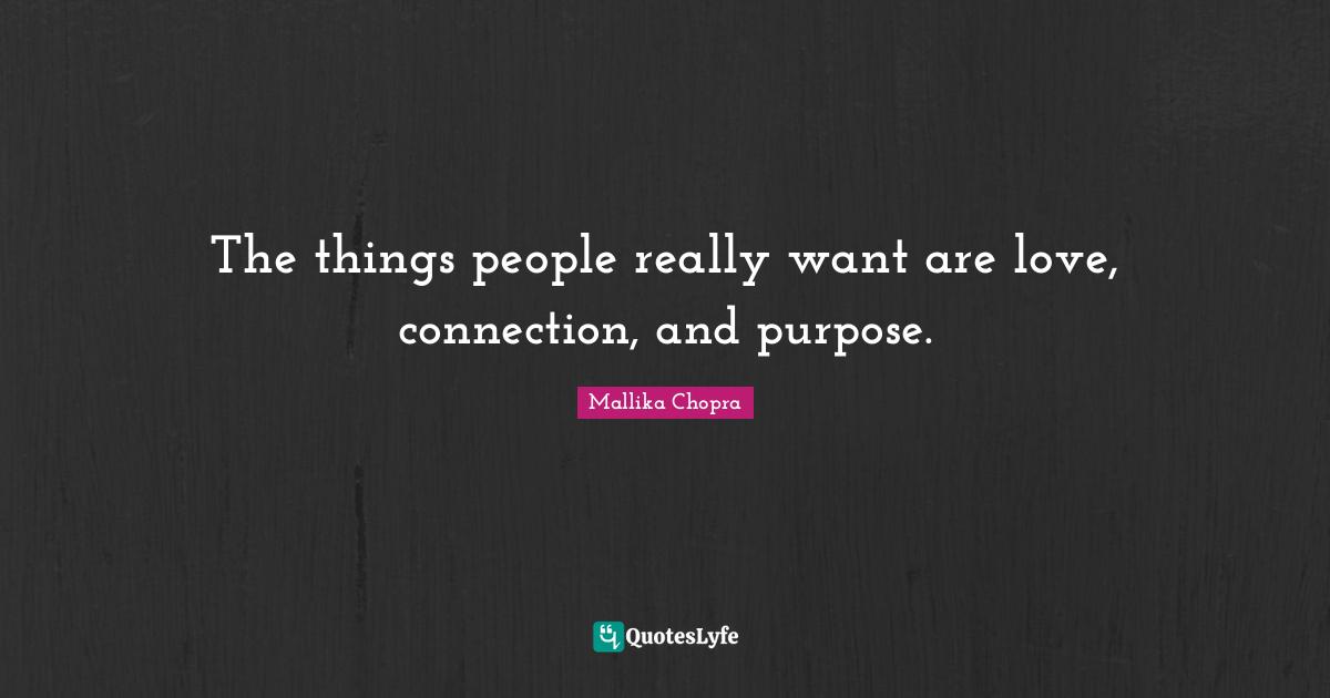 The things people really want are love, connection, and purpose.