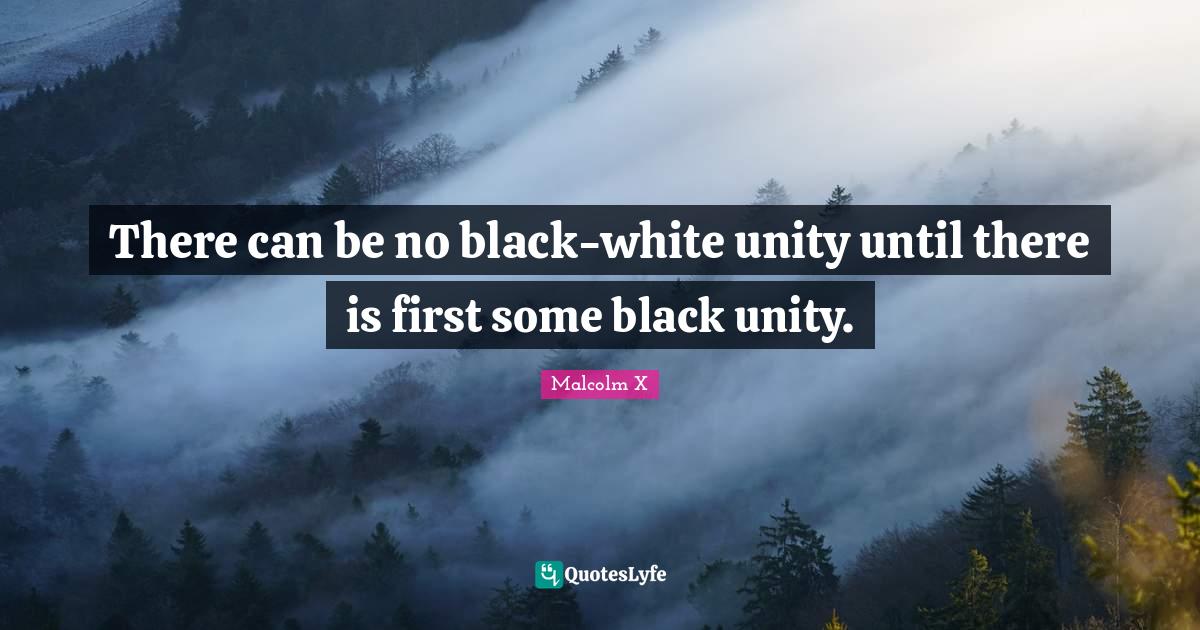 There can be no blackwhite unity until there is first some black unit