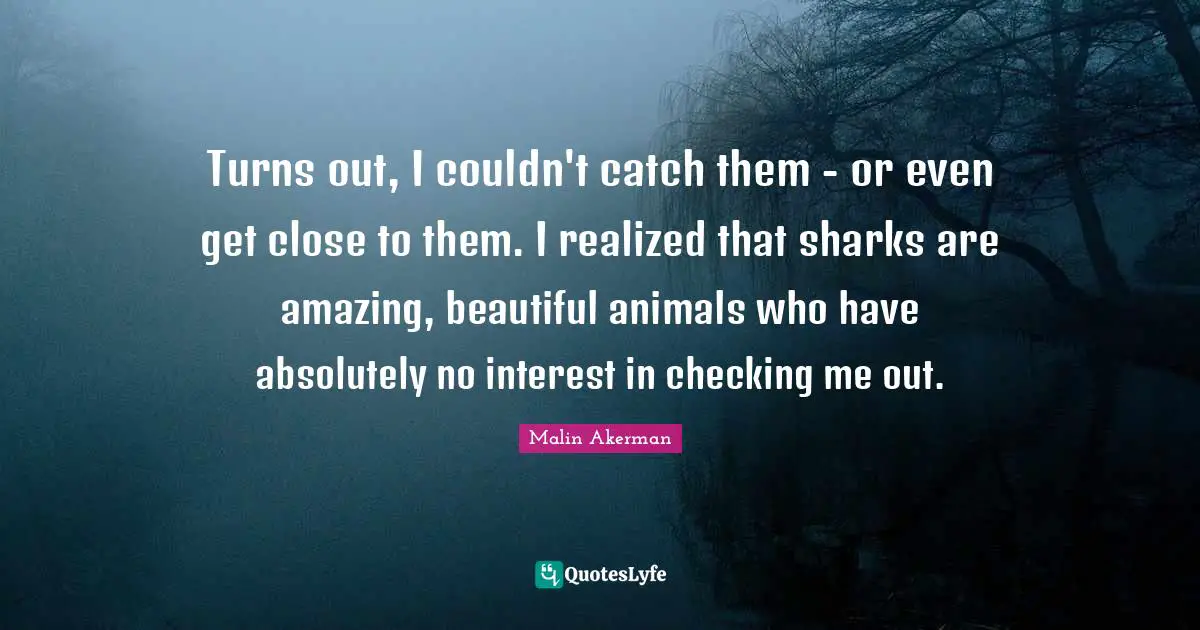 Turns out, I couldn't catch them - or even get close to them. I realized that sharks are amazing, beautiful animals who have absolutely no interest in checking me out.