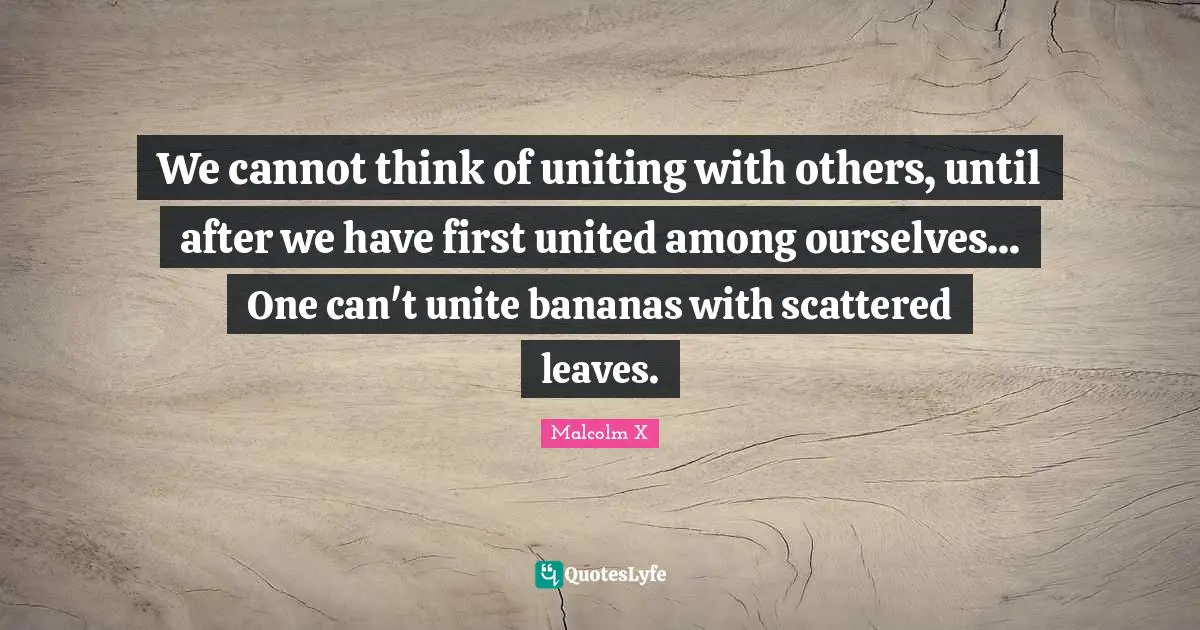 We cannot think of uniting with others, until after we have first united among ourselves... One can't unite bananas with scattered leaves.