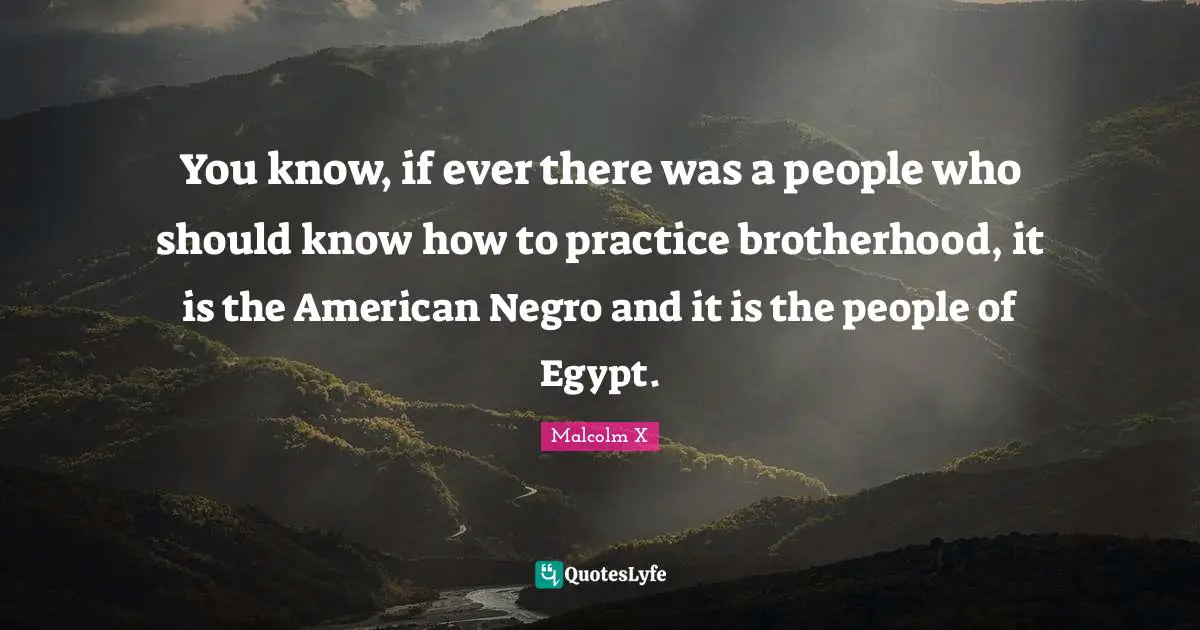 You know, if ever there was a people who should know how to practice brotherhood, it is the American Negro and it is the people of Egypt.