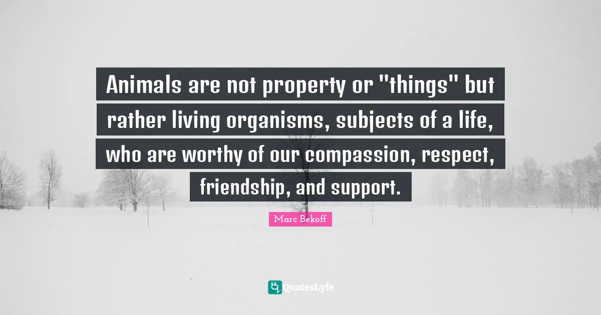 Animals are not property or "things" but rather living organisms, subjects of a life, who are worthy of our compassion, respect, friendship, and support.