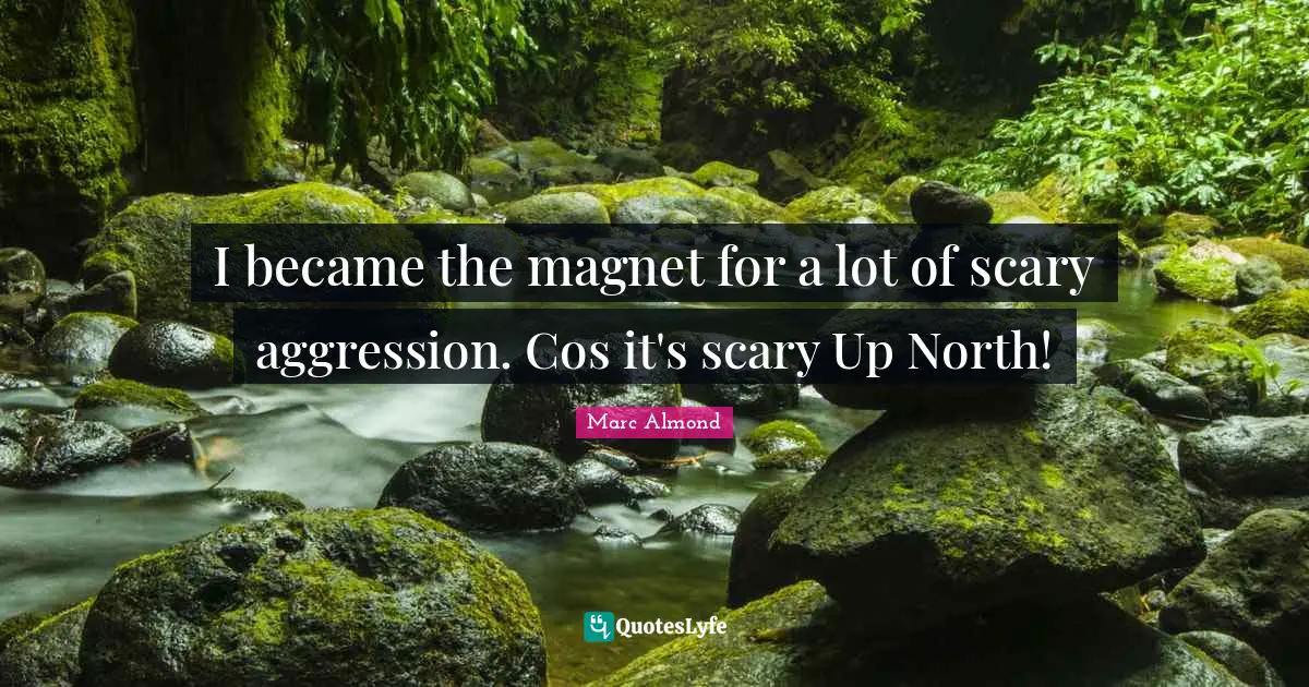 I became the magnet for a lot of scary aggression. Cos it's scary Up North!