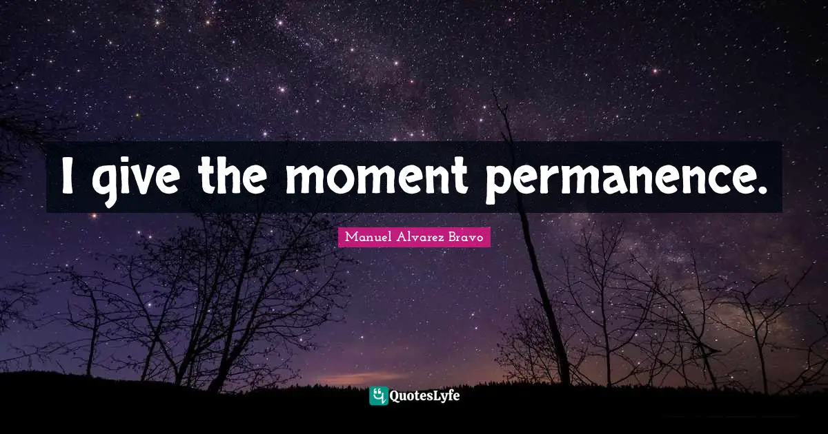 Permanence Quotes: "I give the moment permanence."