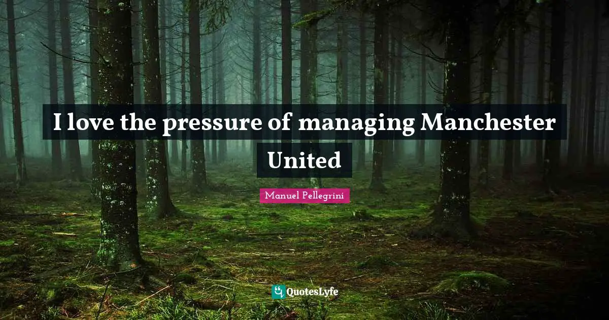 I love the pressure of managing Manchester United