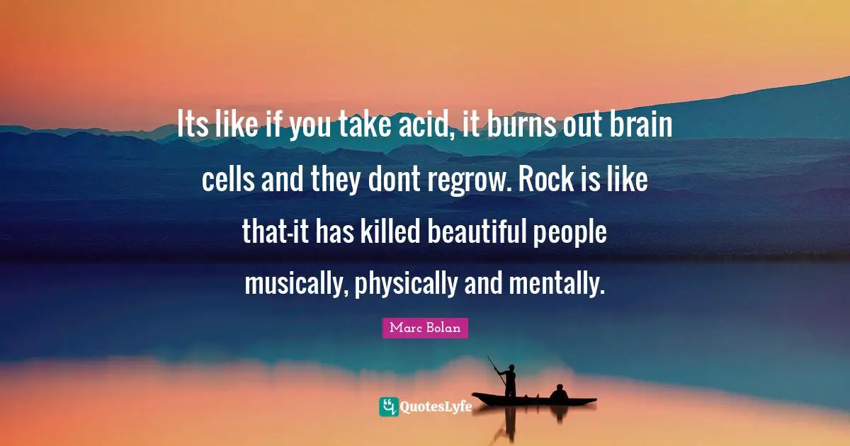 Its like if you take acid, it burns out brain cells and they dont regrow. Rock is like that-it has killed beautiful people musically, physically and mentally.