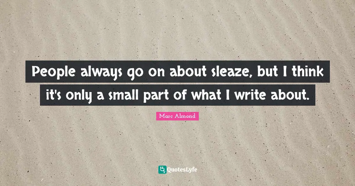 People always go on about sleaze, but I think it's only a small part of what I write about.