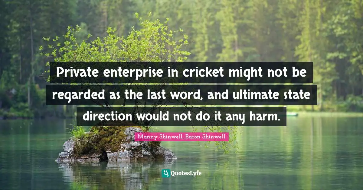 Private enterprise in cricket might not be regarded as the last word, and ultimate state direction would not do it any harm.