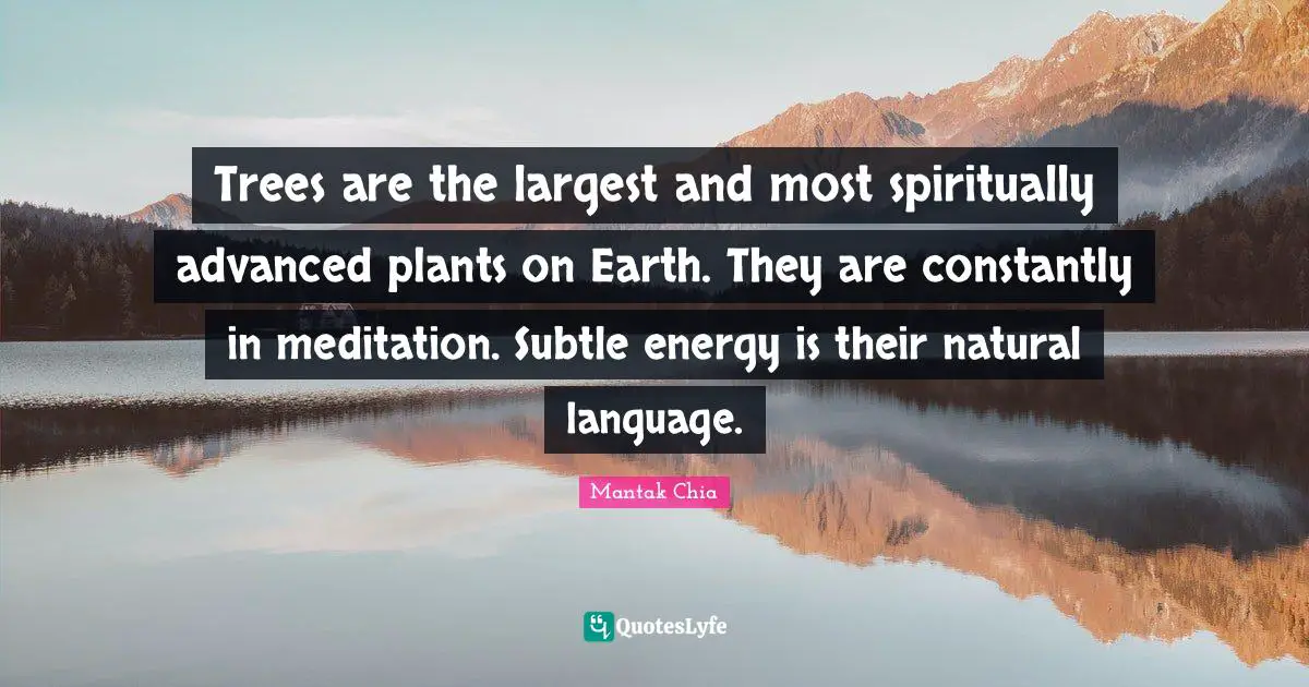 Trees are the largest and most spiritually advanced plants on Earth. They are constantly in meditation. Subtle energy is their natural language.