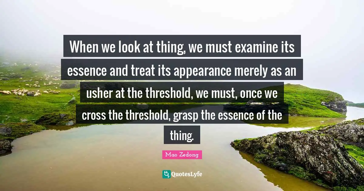 When we look at thing, we must examine its essence and treat its appearance merely as an usher at the threshold, we must, once we cross the threshold, grasp the essence of the thing.