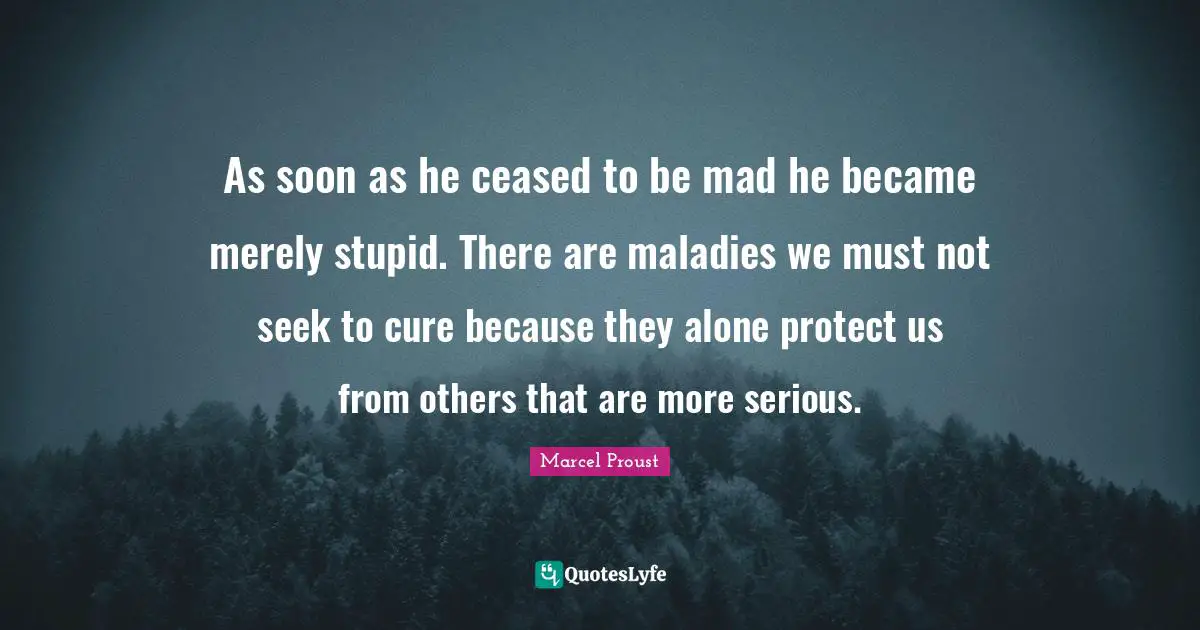 As soon as he ceased to be mad he became merely stupid. There are maladies we must not seek to cure because they alone protect us from others that are more serious.