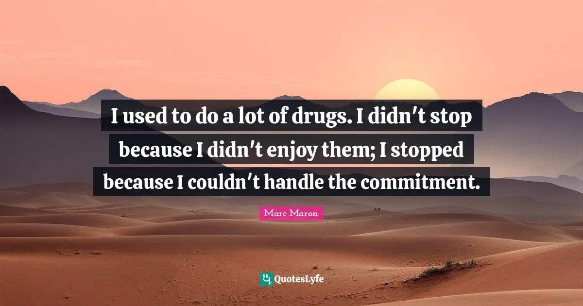 Marc Maron Quotes: "I used to do a lot of drugs. I didn't stop because I didn't enjoy them; I stopped because I couldn't handle the commitment."