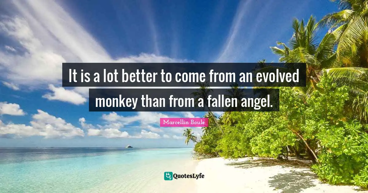 It is a lot better to come from an evolved monkey than from a fallen angel.