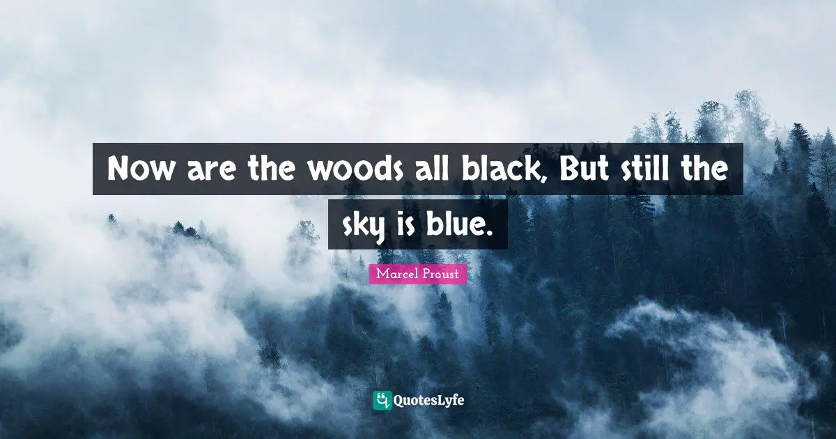 Now are the woods all black, But still the sky is blue.