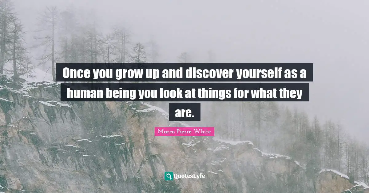 Marco Pierre White Quotes: "Once you grow up and discover yourself as a human being you look at things for what they are."