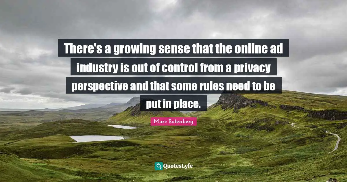There's a growing sense that the online ad industry is out of control from a privacy perspective and that some rules need to be put in place.