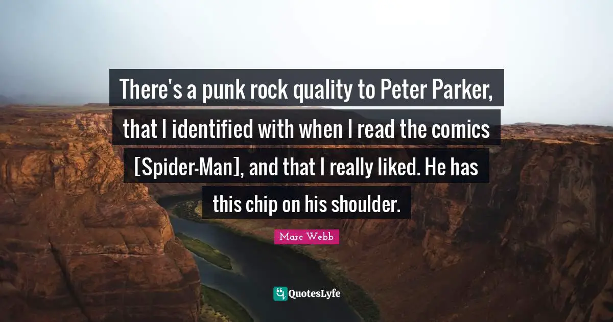 There's a punk rock quality to Peter Parker, that I identified with when I read the comics [Spider-Man], and that I really liked. He has this chip on his shoulder.