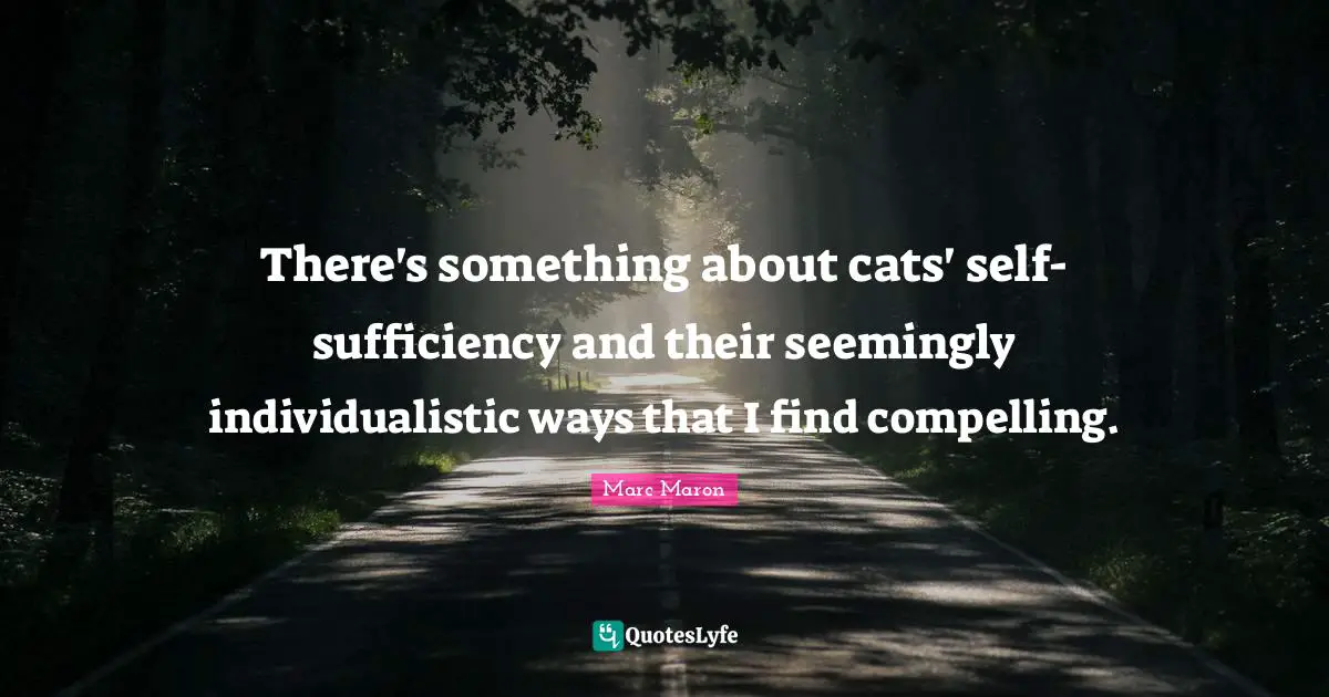 There's something about cats' self-sufficiency and their seemingly individualistic ways that I find compelling.