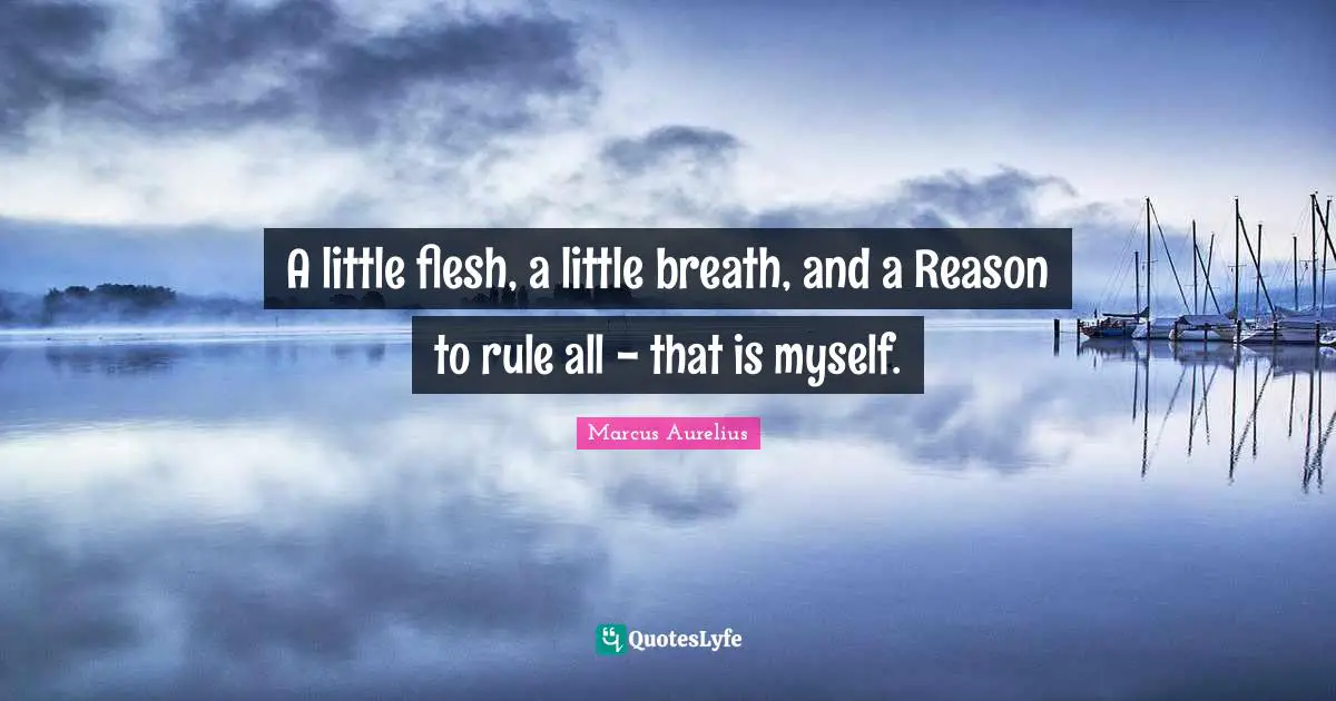A little flesh, a little breath, and a Reason to rule all - that is myself.