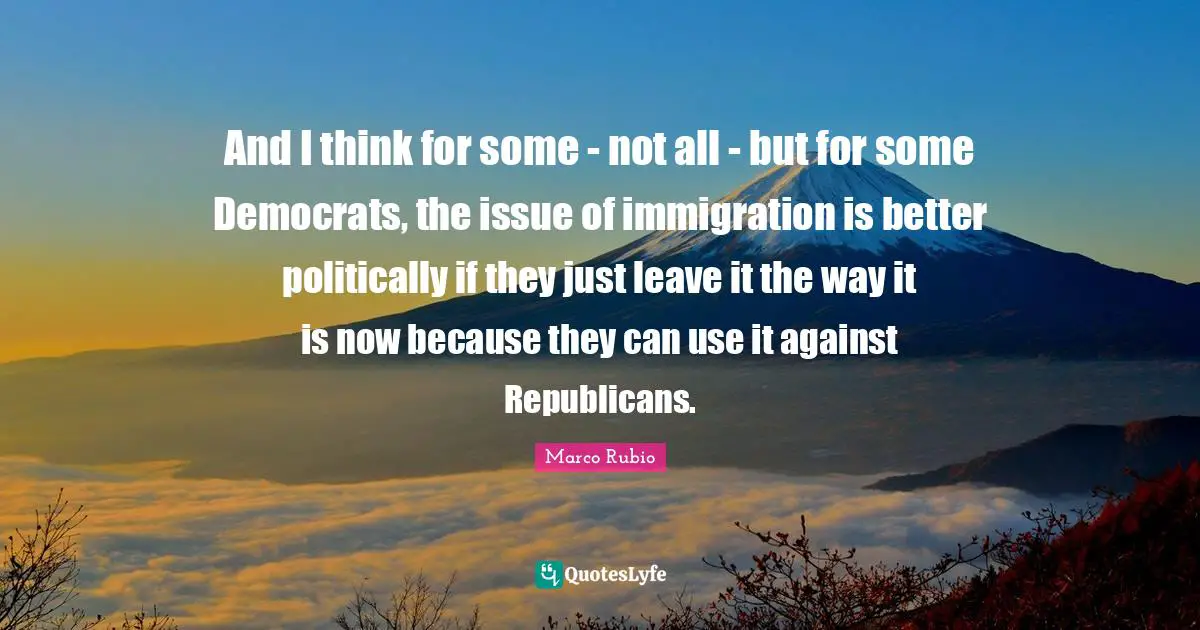 And I think for some - not all - but for some Democrats, the issue of immigration is better politically if they just leave it the way it is now because they can use it against Republicans.