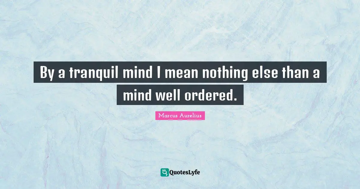 By a tranquil mind I mean nothing else than a mind well ordered.