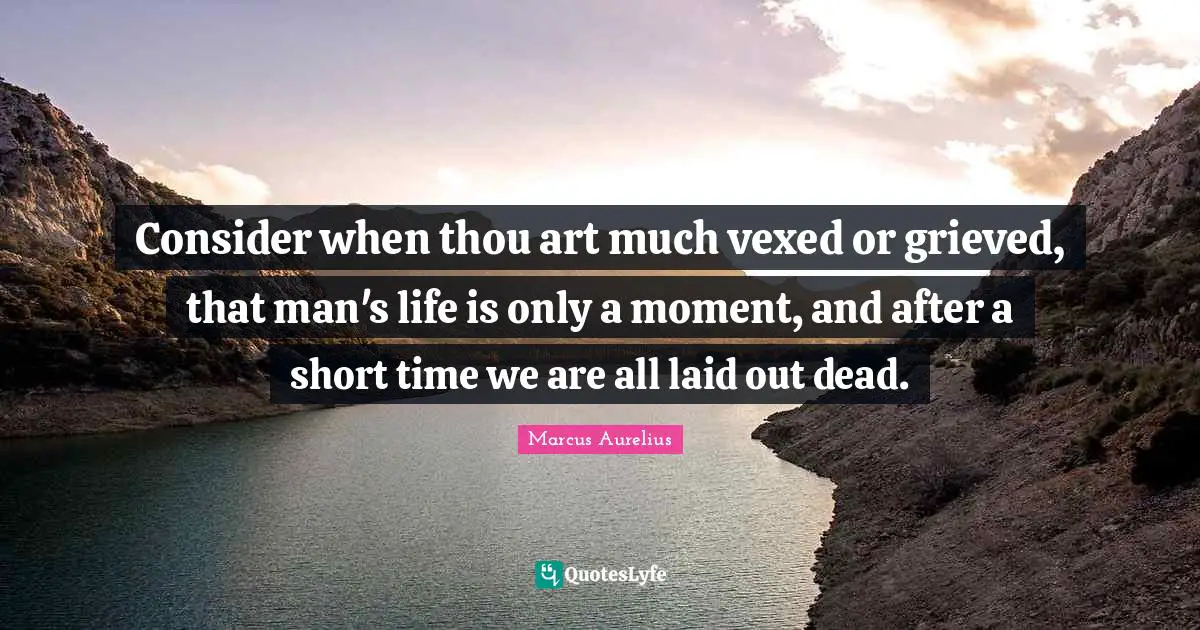 Consider when thou art much vexed or grieved, that man's life is only a moment, and after a short time we are all laid out dead.