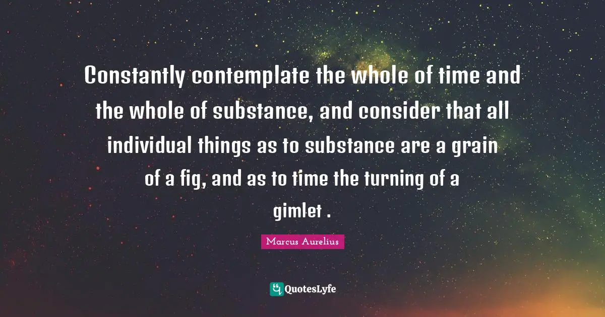 Constantly contemplate the whole of time and the whole of substance, and consider that all individual things as to substance are a grain of a fig, and as to time the turning of a gimlet .