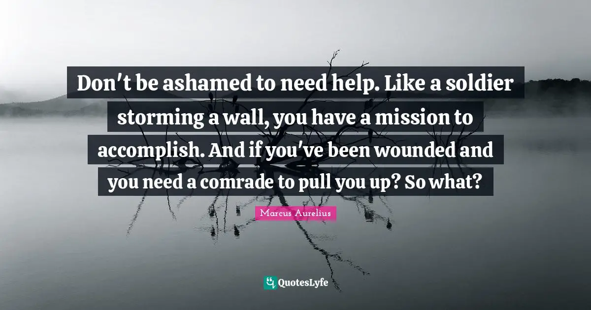 Wall Quotes: "Don't be ashamed to need help. Like a soldier storming a wall, you have a mission to accomplish. And if you've been wounded and you need a comrade to pull you up? So what?"