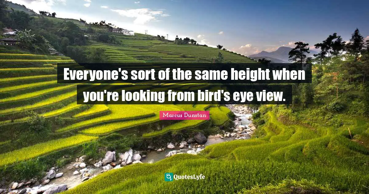 Everyone's sort of the same height when you're looking from bird's eye view.