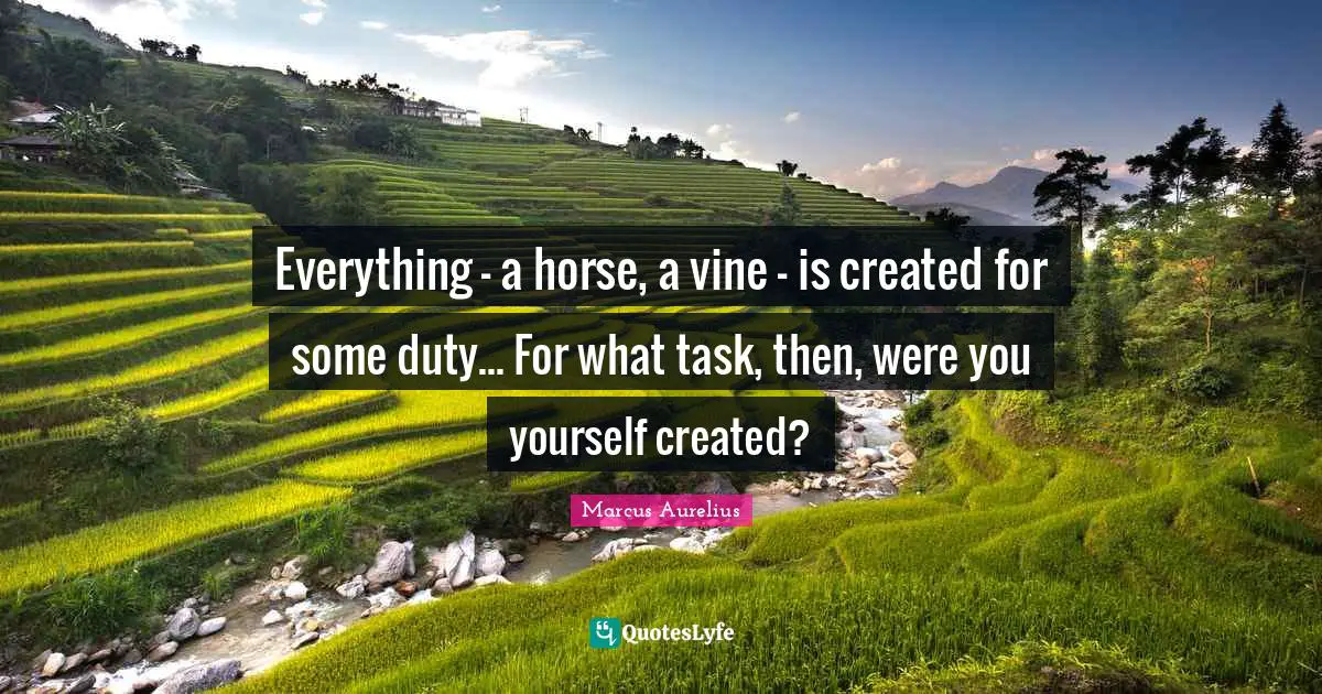 Everything - a horse, a vine - is created for some duty... For what task, then, were you yourself created?