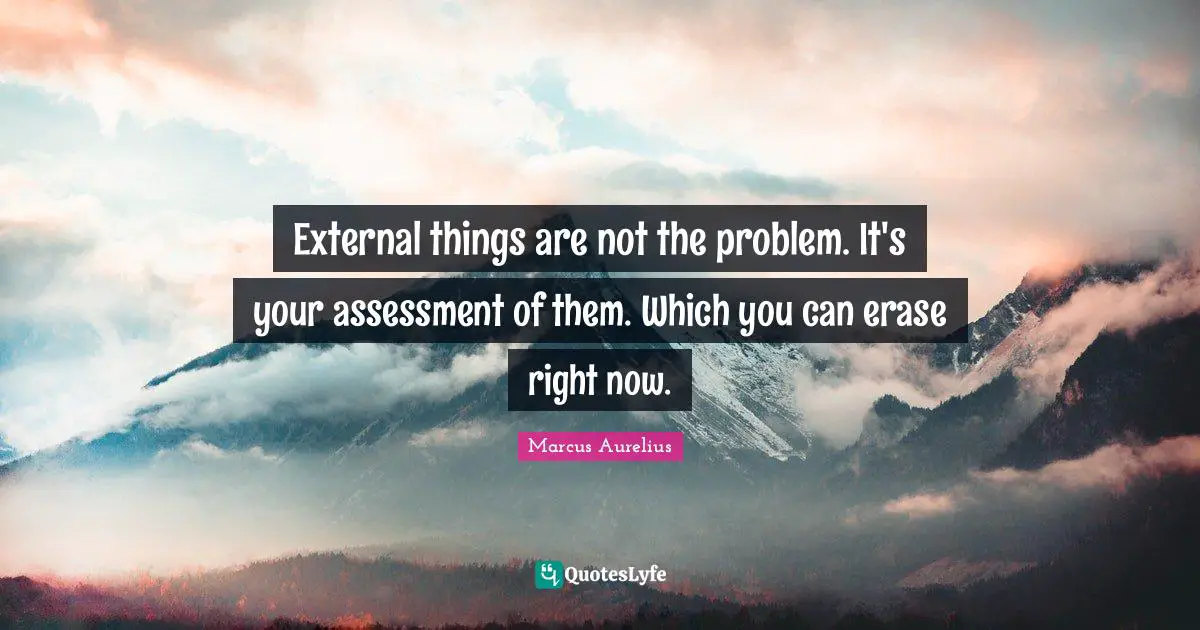 External things are not the problem. It's your assessment of them. Which you can erase right now.