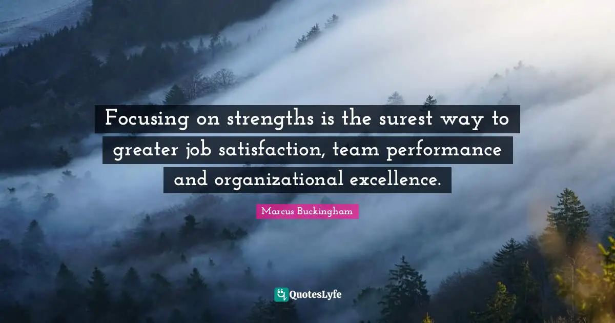 Focusing on strengths is the surest way to greater job satisfaction, team performance and organizational excellence.