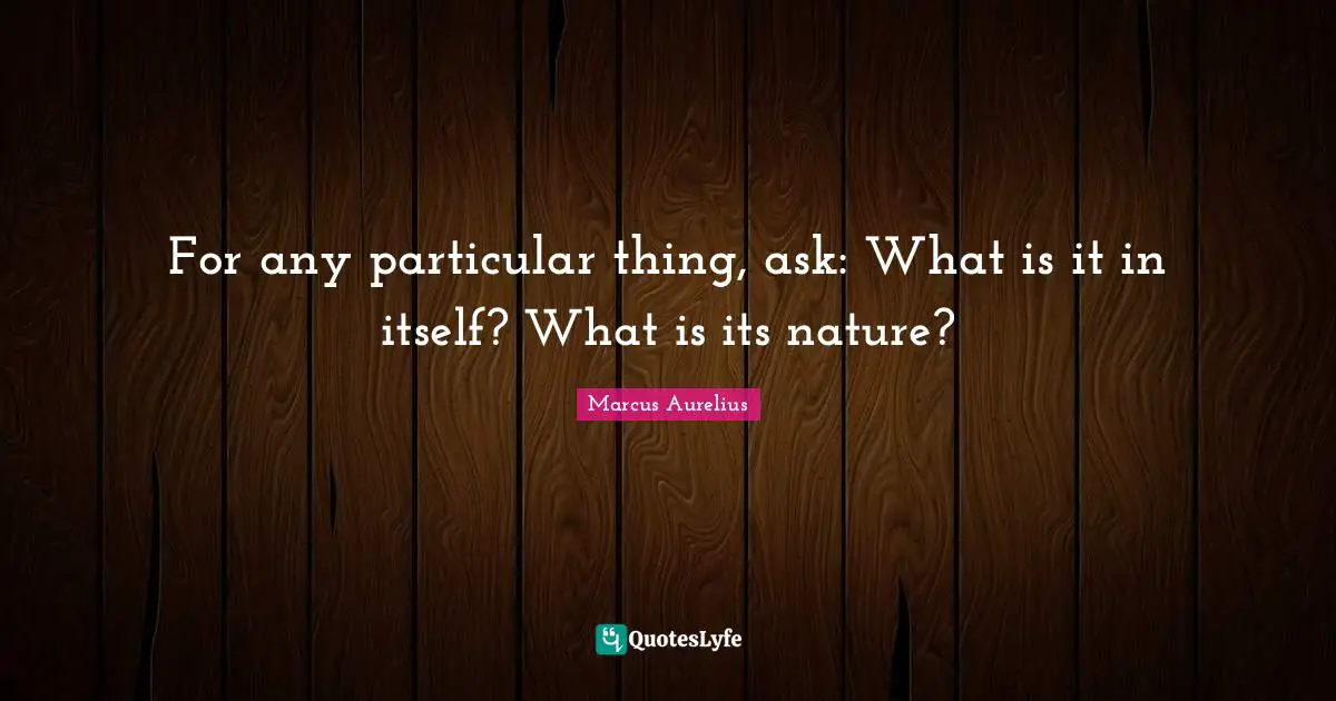 For any particular thing, ask: What is it in itself? What is its nature?