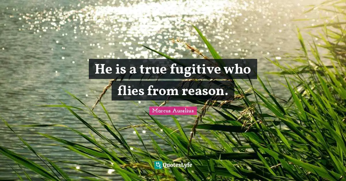 Reason And Logic Quotes: "He is a true fugitive who flies from reason."