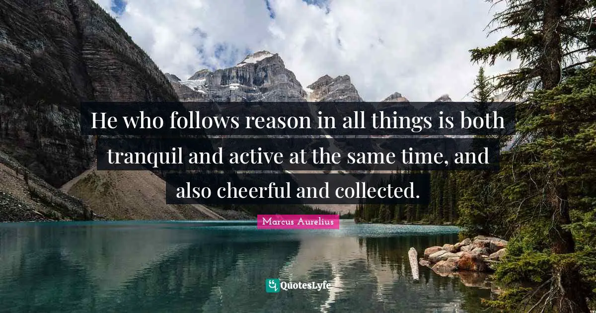 He who follows reason in all things is both tranquil and active at the same time, and also cheerful and collected.