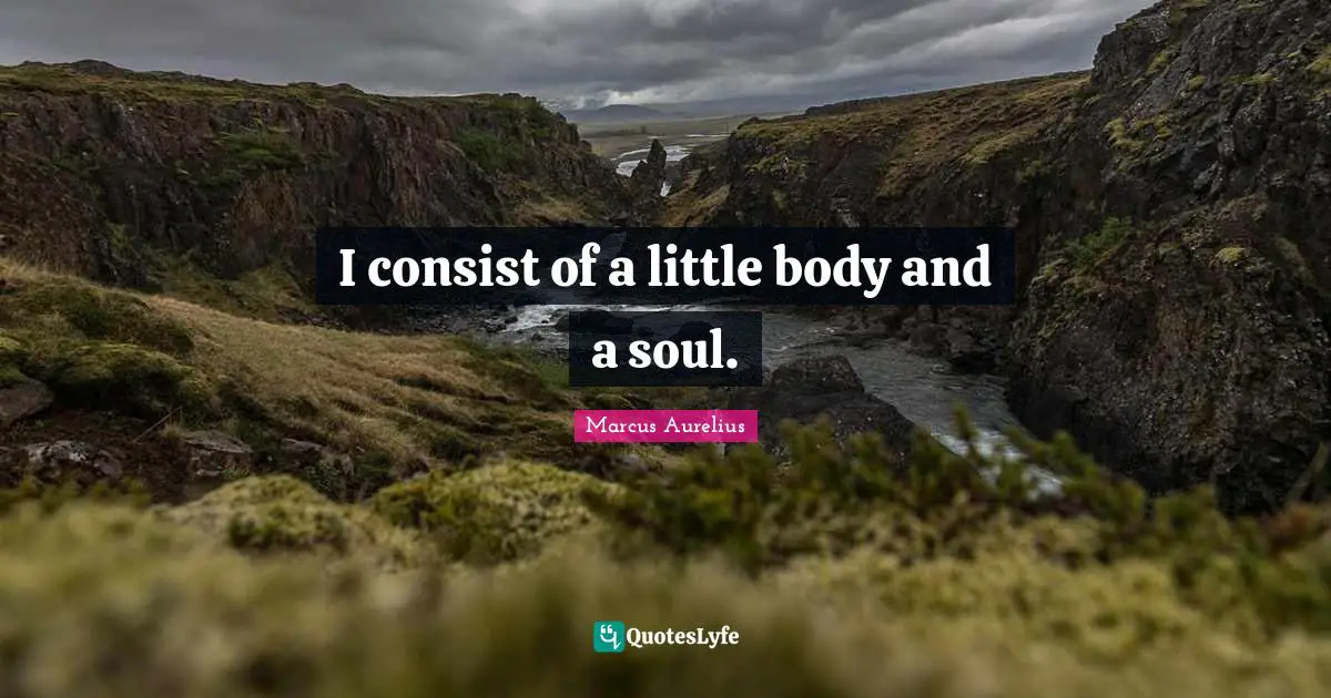 I consist of a little body and a soul.