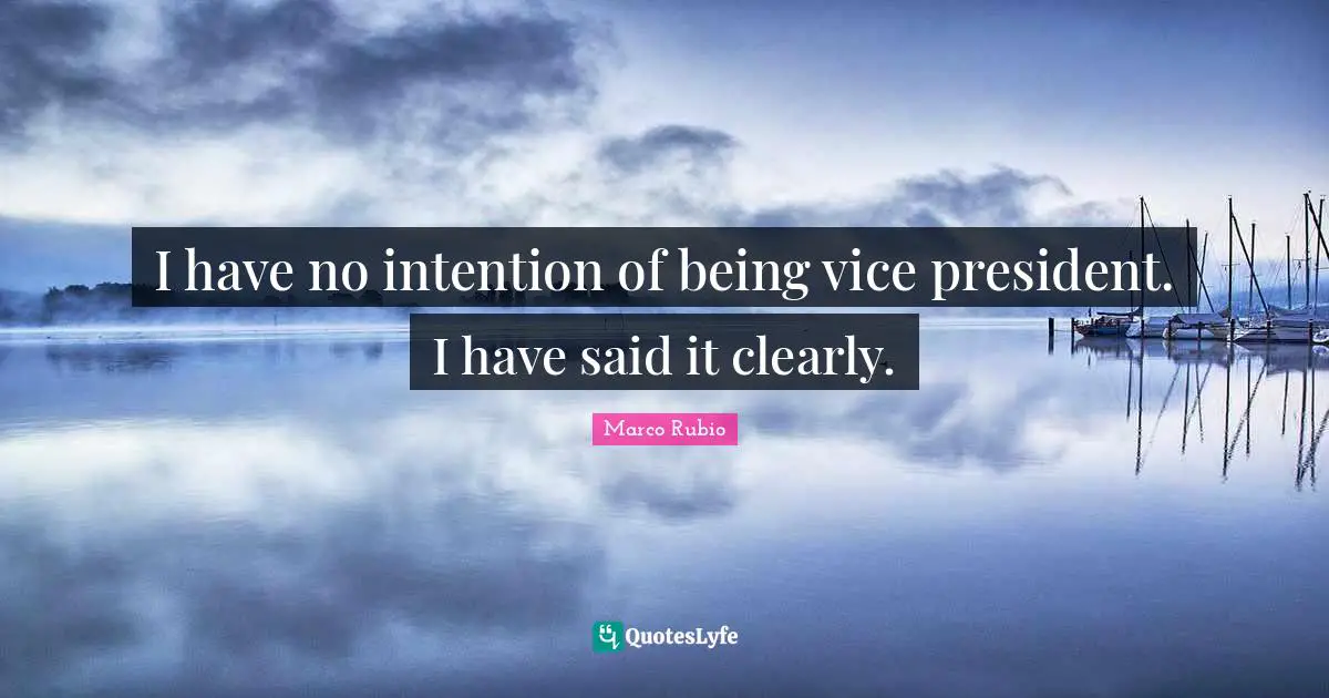I have no intention of being vice president. I have said it clearly.