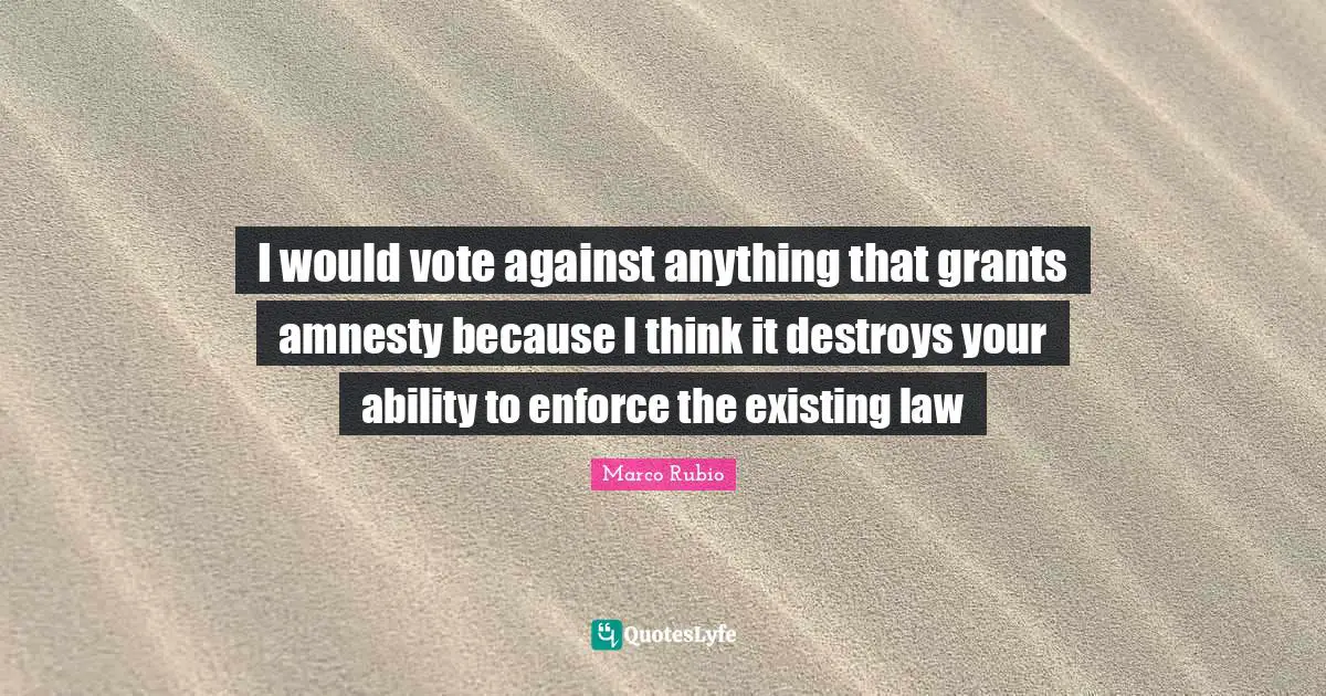 I would vote against anything that grants amnesty because I think it destroys your ability to enforce the existing law