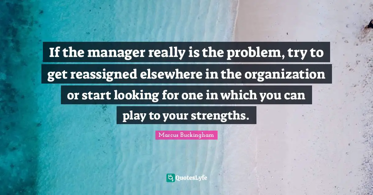 If the manager really is the problem, try to get reassigned elsewhere in the organization or start looking for one in which you can play to your strengths.