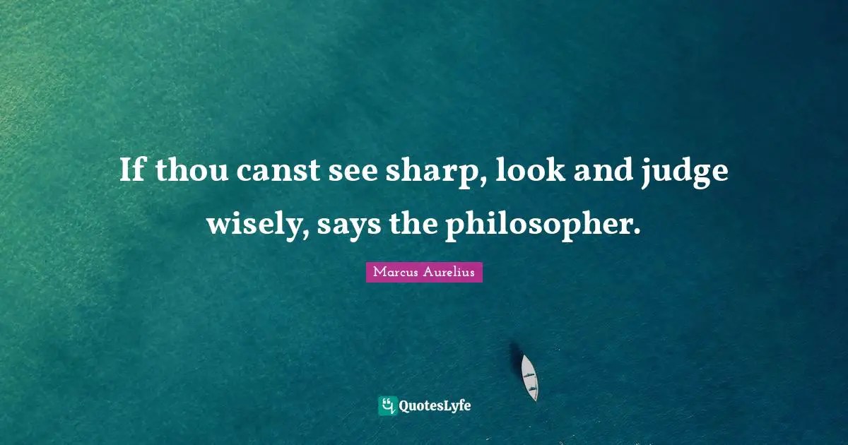If thou canst see sharp, look and judge wisely, says the philosopher.