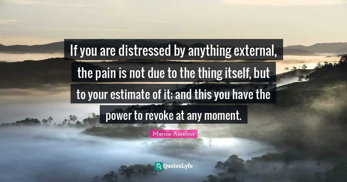Marcus Aurelius Quotes: If you are distressed by anything external, the pain is not due to the thing itself, but to your estimate of it; and this you have the power to revoke at any moment.