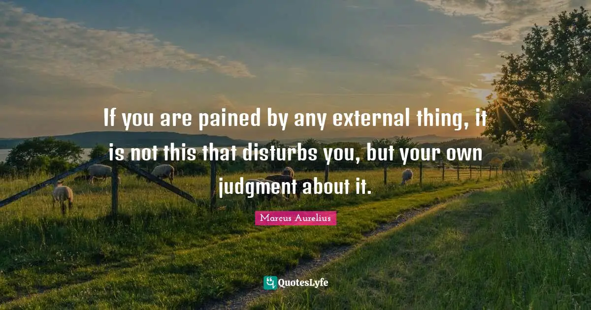 Marcus Aurelius Quotes: "If you are pained by any external thing, it is not this that disturbs you, but your own judgment about it."