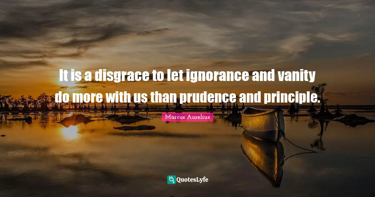 It is a disgrace to let ignorance and vanity do more with us than prudence and principle.
