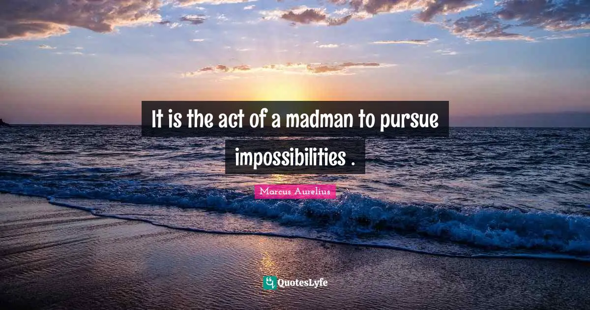 It is the act of a madman to pursue impossibilities .