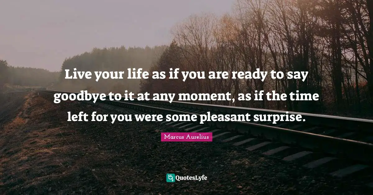Live your life as if you are ready to say goodbye to it at any moment, as if the time left for you were some pleasant surprise.