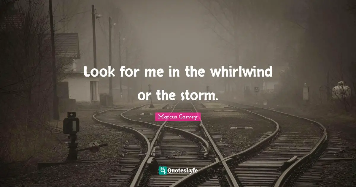 Look for me in the whirlwind or the storm.