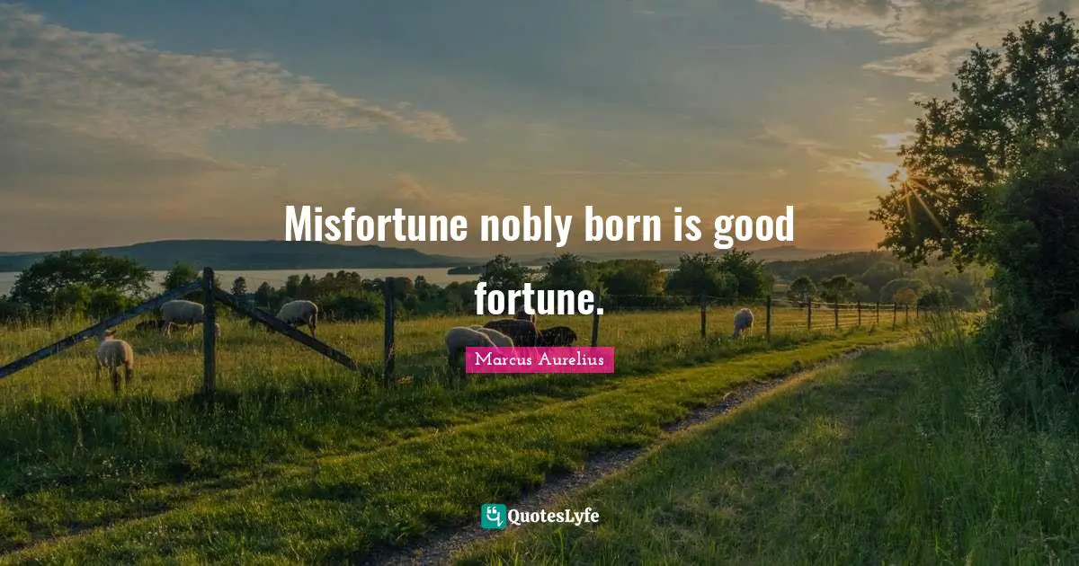 Misfortune nobly born is good fortune.