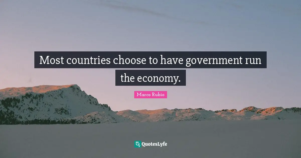 Most countries choose to have government run the economy.