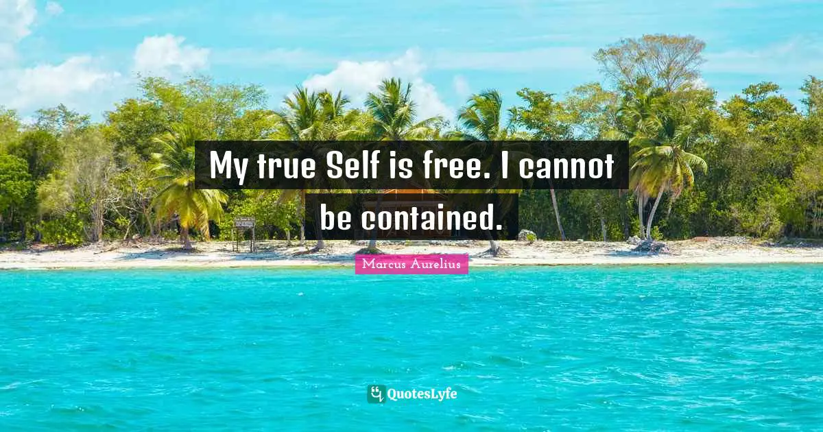 True Self Quotes: "My true Self is free. I cannot be contained."