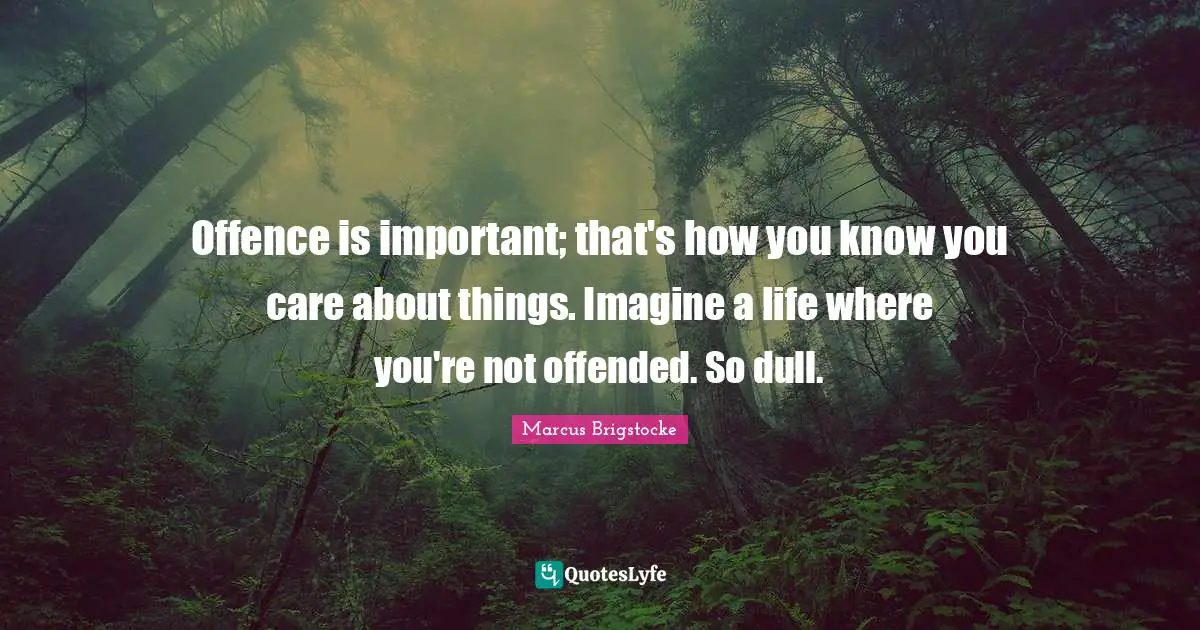 Offence is important; that's how you know you care about things. Imagine a life where you're not offended. So dull.
